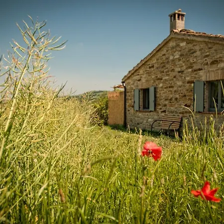 Casa Dei Colli *