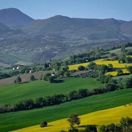 Casa Dei Colli Mergo